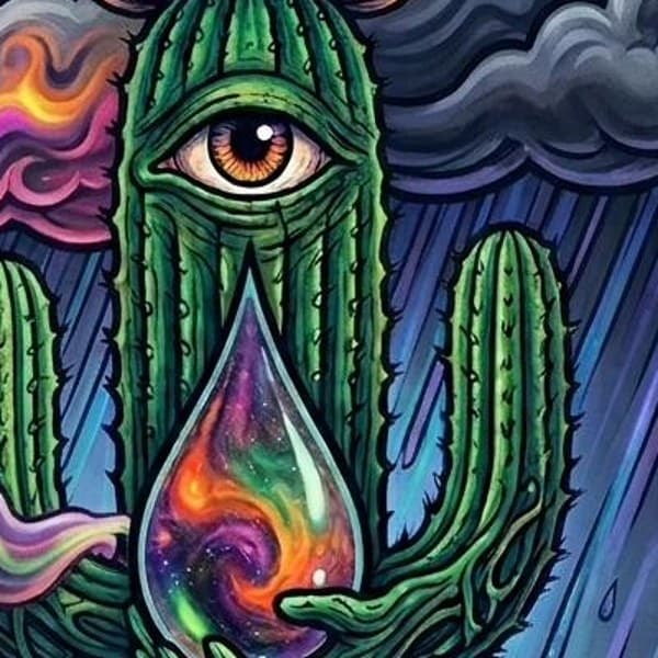 Cactus third eye — detail